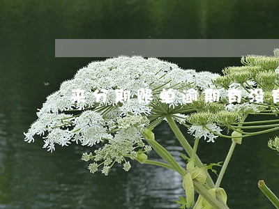 来分期账单逾期有没有事 来分期账单逾期有没有事