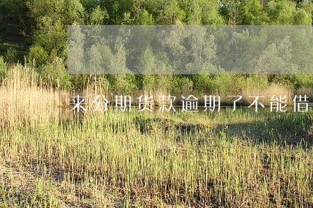 来分期货款逾期了不能借了 来分期货款逾期了不能借了