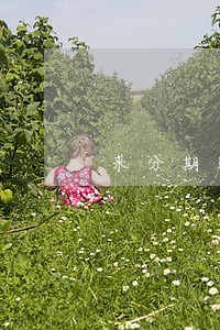 来分期购物额度逾期 来分期购物额度逾期