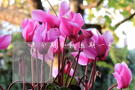 来分期贷款逾期一天会上征信吗 来分期贷款逾期一天会上征信吗