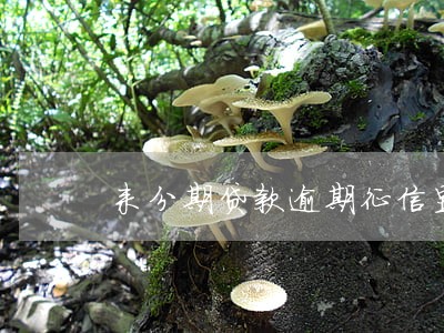 来分期贷款逾期征信显示 来分期贷款逾期征信显示