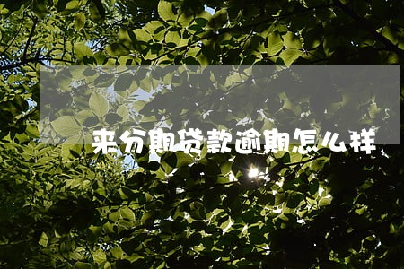 来分期贷款逾期怎么样 来分期贷款逾期怎么样