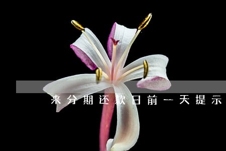来分期还款日前一天提示逾期 来分期还款日前一天提示逾期