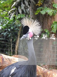 来分期还清了怎么还是逾期 来分期还清了怎么还是逾期