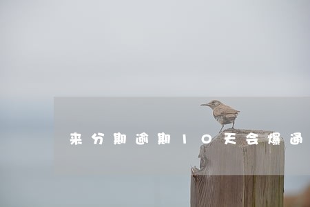 来分期逾期10天会爆通讯录吗 来分期逾期10天会爆通讯录吗