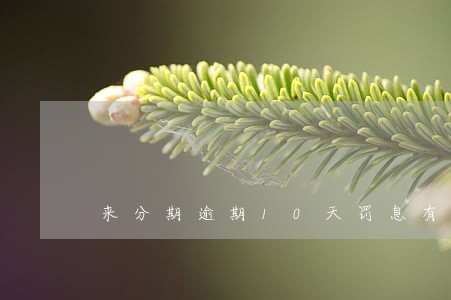 来分期逾期10天罚息有多少 来分期逾期10天罚息有多少