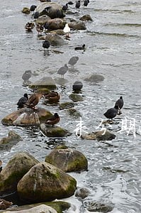 来分期逾期13天会怎么样 来分期逾期13天会怎么样