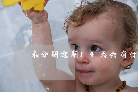来分期逾期14天会有什么 来分期逾期14天会有什么