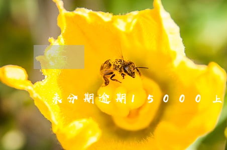 来分期逾期15000上门催收 来分期逾期15000上门催收