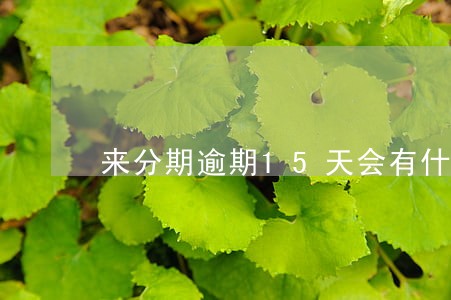 来分期逾期15天会有什么后果