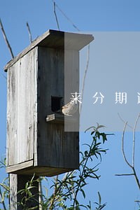 来分期逾期18天会怎么样 来分期逾期18天会怎么样