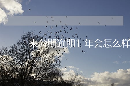 来分期逾期1年会怎么样 来分期逾期1年会怎么样