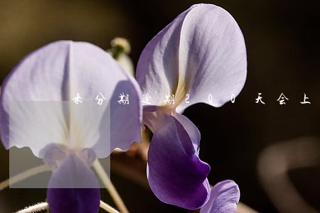 来分期逾期200天会上门吗 来分期逾期200天会上门吗
