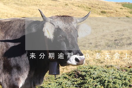 来分期逾期20多天会上门吗 来分期逾期20多天会上门吗