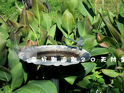 来分期逾期20天付全额 来分期逾期20天付全额