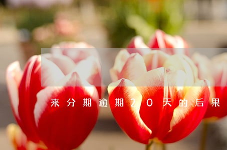 来分期逾期20天的后果 来分期逾期20天的后果