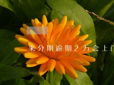 来分期逾期2万会上门催收吗 来分期逾期2万会上门催收吗