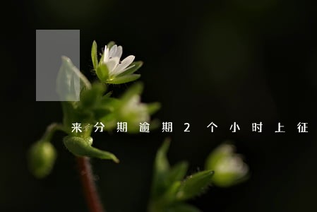 来分期逾期2个小时上征信吗 来分期逾期2个小时上征信吗