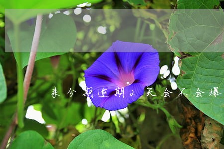 来分期逾期2天会不会爆通讯录 来分期逾期2天会不会爆通讯录