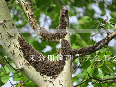 来分期逾期2天会怎么样 来分期逾期2天会怎么样