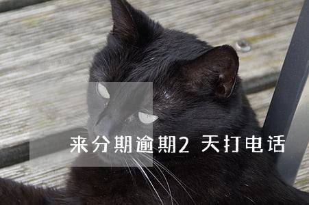 来分期逾期2天打电话 来分期逾期2天打电话