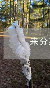 来分期逾期2年未还如何协商 来分期逾期2年未还如何协商