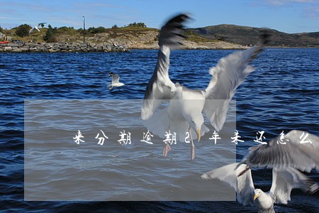 来分期逾期2年未还怎么协商 来分期逾期2年未还怎么协商