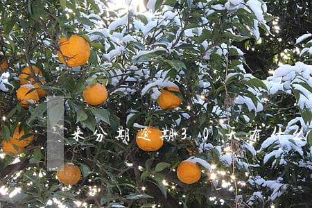 来分期逾期30天有什么后果 来分期逾期30天有什么后果