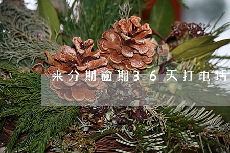 来分期逾期36天打电话说上门 来分期逾期36天打电话说上门