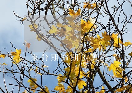 来分期逾期3天还了 来分期逾期3天还了