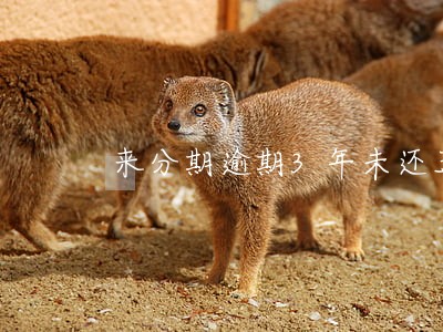 来分期逾期3年未还五万 来分期逾期3年未还五万