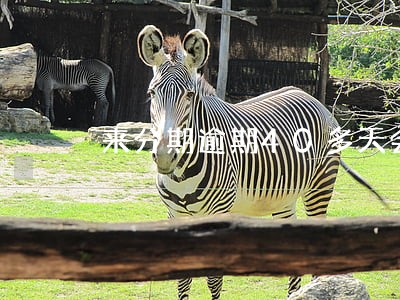 来分期逾期40多天会怎么样 来分期逾期40多天会怎么样