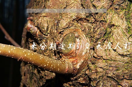 来分期逾期50天没人打电话 来分期逾期50天没人打电话