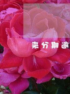 来分期逾期5万严重吗 来分期逾期5万严重吗
