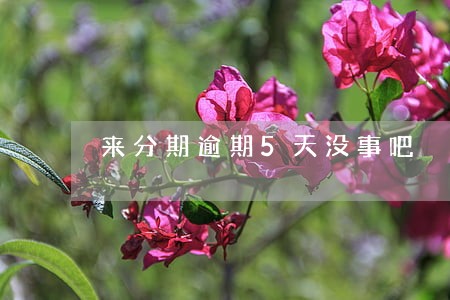 来分期逾期5天没事吧