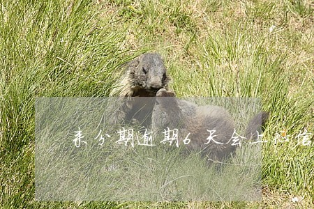来分期逾期6天会上征信吗 来分期逾期6天会上征信吗