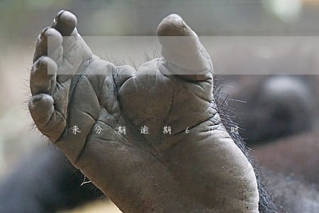 来分期逾期6小时 来分期逾期6小时