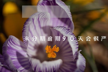 来分期逾期90天会很严重吗