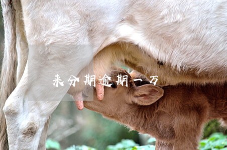 来分期逾期一万 来分期逾期一万
