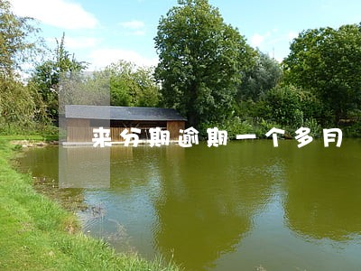 来分期逾期一个多月