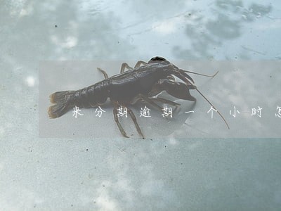 来分期逾期一个小时怎么办 来分期逾期一个小时怎么办