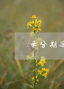 来分期逾期一个星期会上征信吗 来分期逾期一个星期会上征信吗