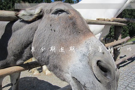 来分期逾期一个星期可以吗 来分期逾期一个星期可以吗