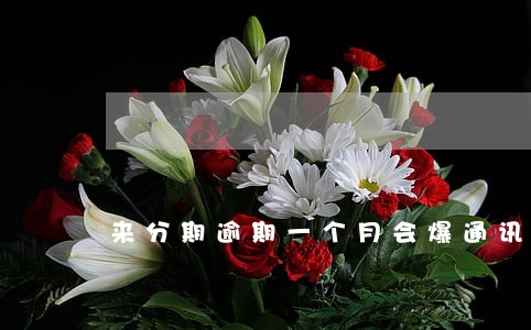 来分期逾期一个月会爆通讯录吗 来分期逾期一个月会爆通讯录吗