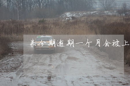 来分期逾期一个月会被上诉吗 来分期逾期一个月会被上诉吗