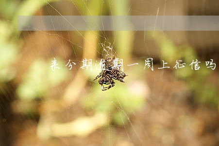 来分期逾期一周上征信吗 来分期逾期一周上征信吗
