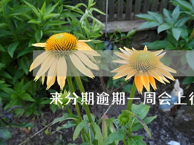 来分期逾期一周会上征信吗 来分期逾期一周会上征信吗