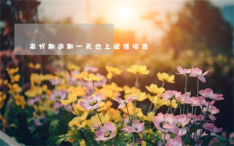 来分期逾期一天也上征信报告 来分期逾期一天也上征信报告