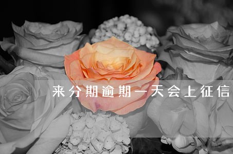 来分期逾期一天会上征信 来分期逾期一天会上征信