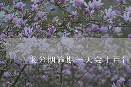 来分期逾期一天会上百行征信吗